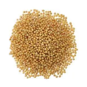Yellow Mustard Seeds