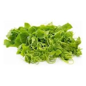 Chayote Leaves