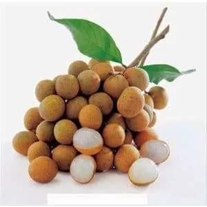 Kelengkeng