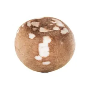 Coconut Clean