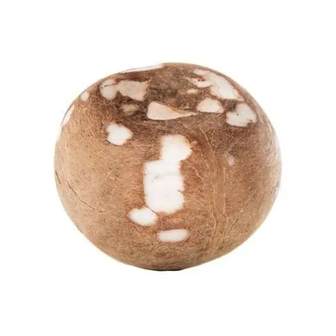 Coconut Clean
