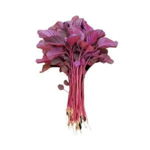Organic Red Spinach