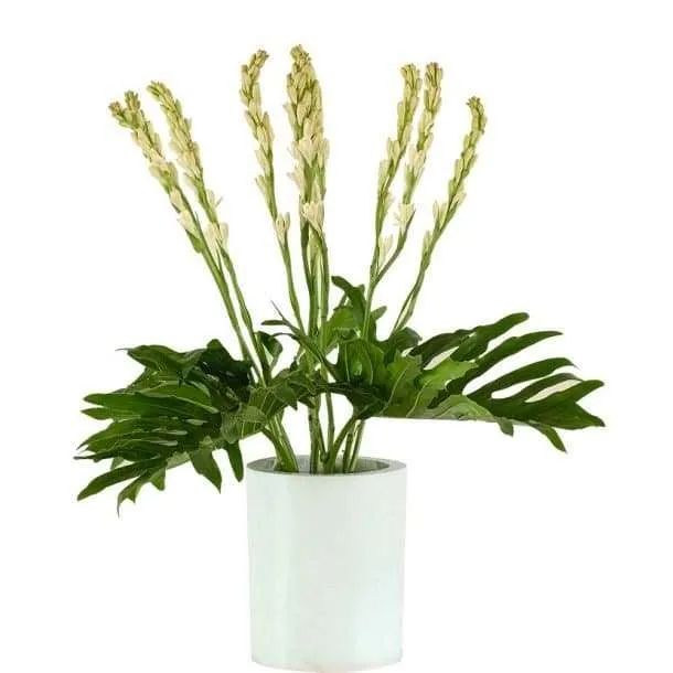 BFR Tuberose Flowers 1 Set