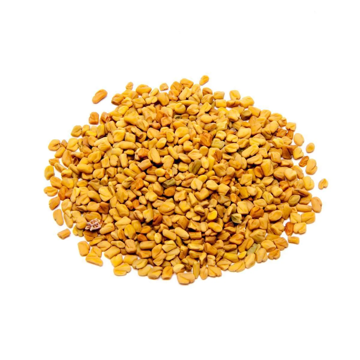BDS Fenugreek Seeds 75g
