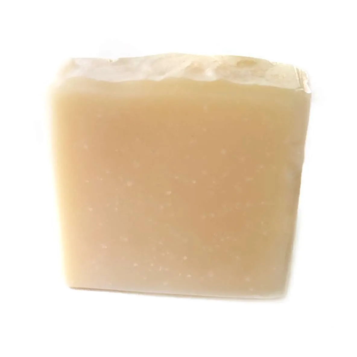 DBK Shampooch 80 g