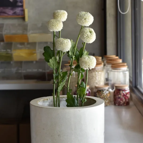 Ping Pong Flower