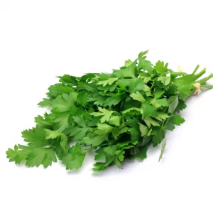 Natural Parsley Italy