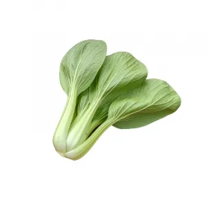 Natural Pokcoy