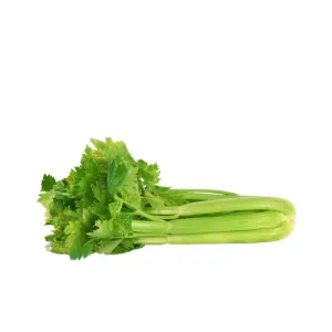 Hydro Celery Stick from Bali Grown