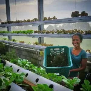 Bali Grown and their produce at Mas Ubud