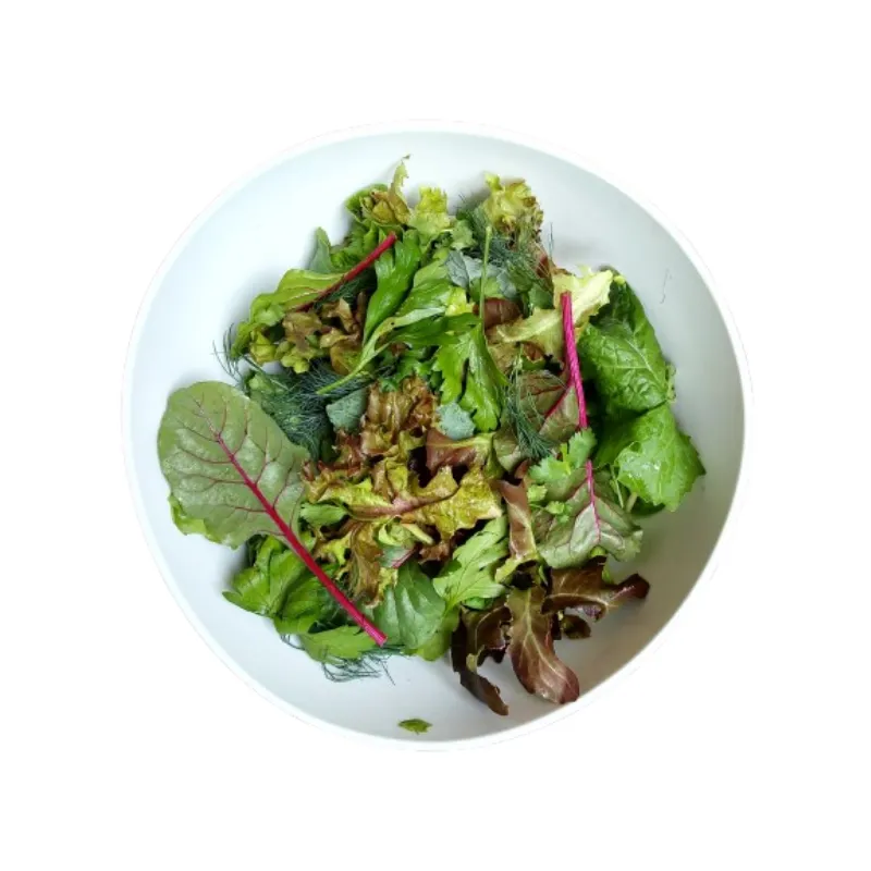 Hydro Salad Herb Mix from Bali Grown